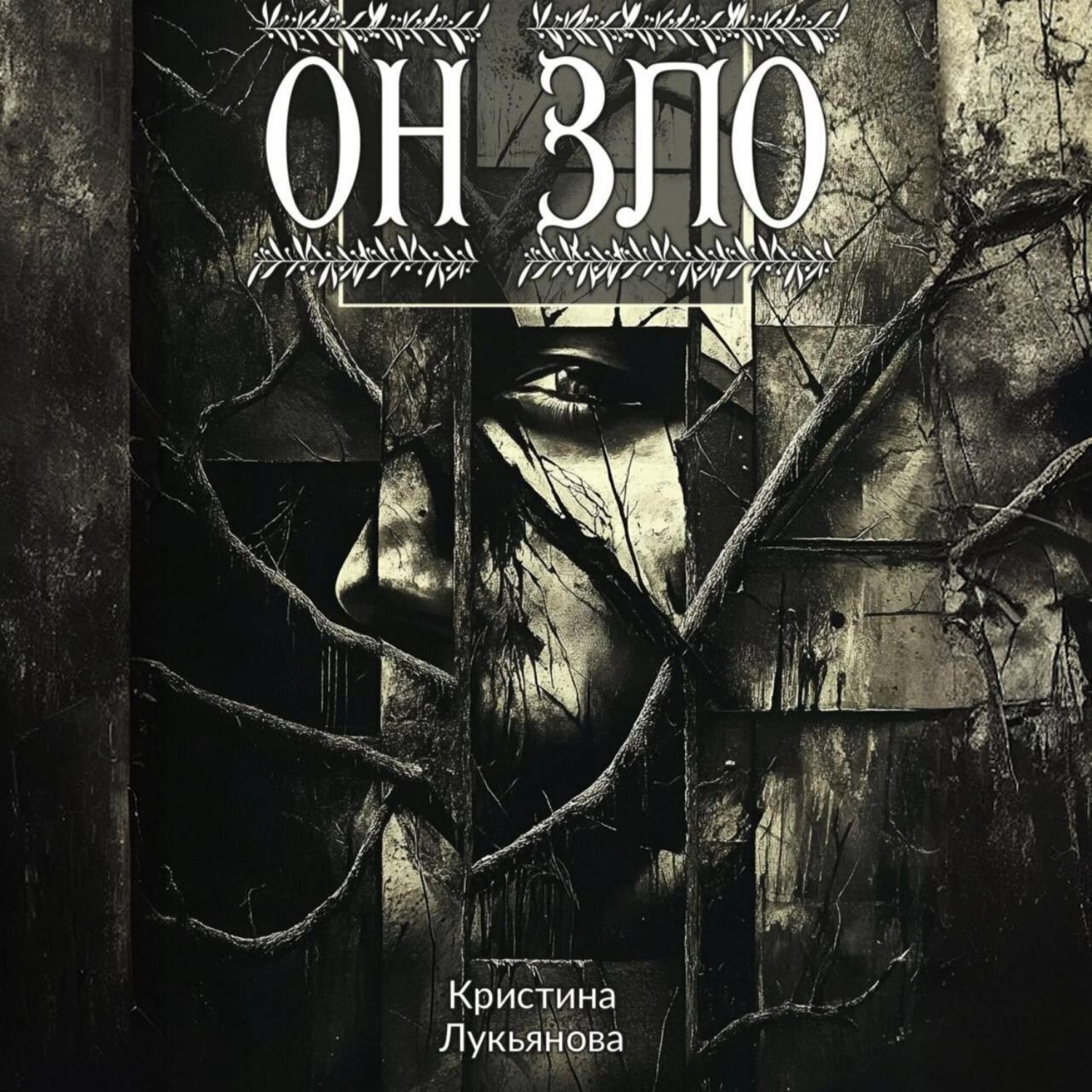 Обложка книги «Он зло»