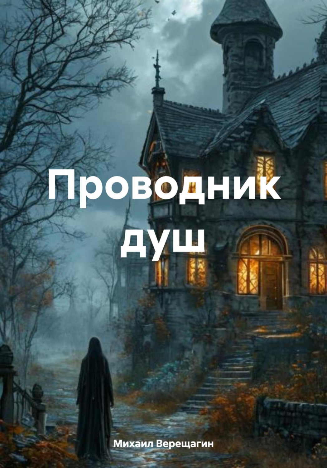 Обложка книги «Проводник душ»