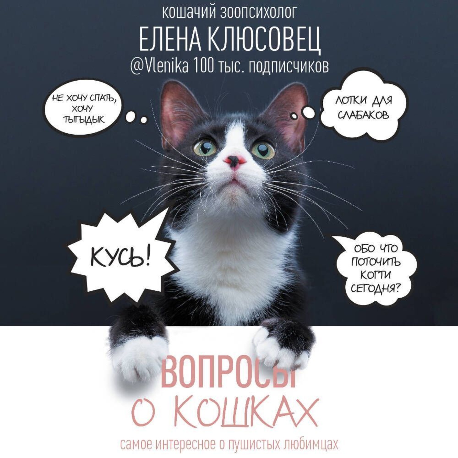 Обложка книги «Вопросы о кошках. Самое интересное о пушистых любимцах»