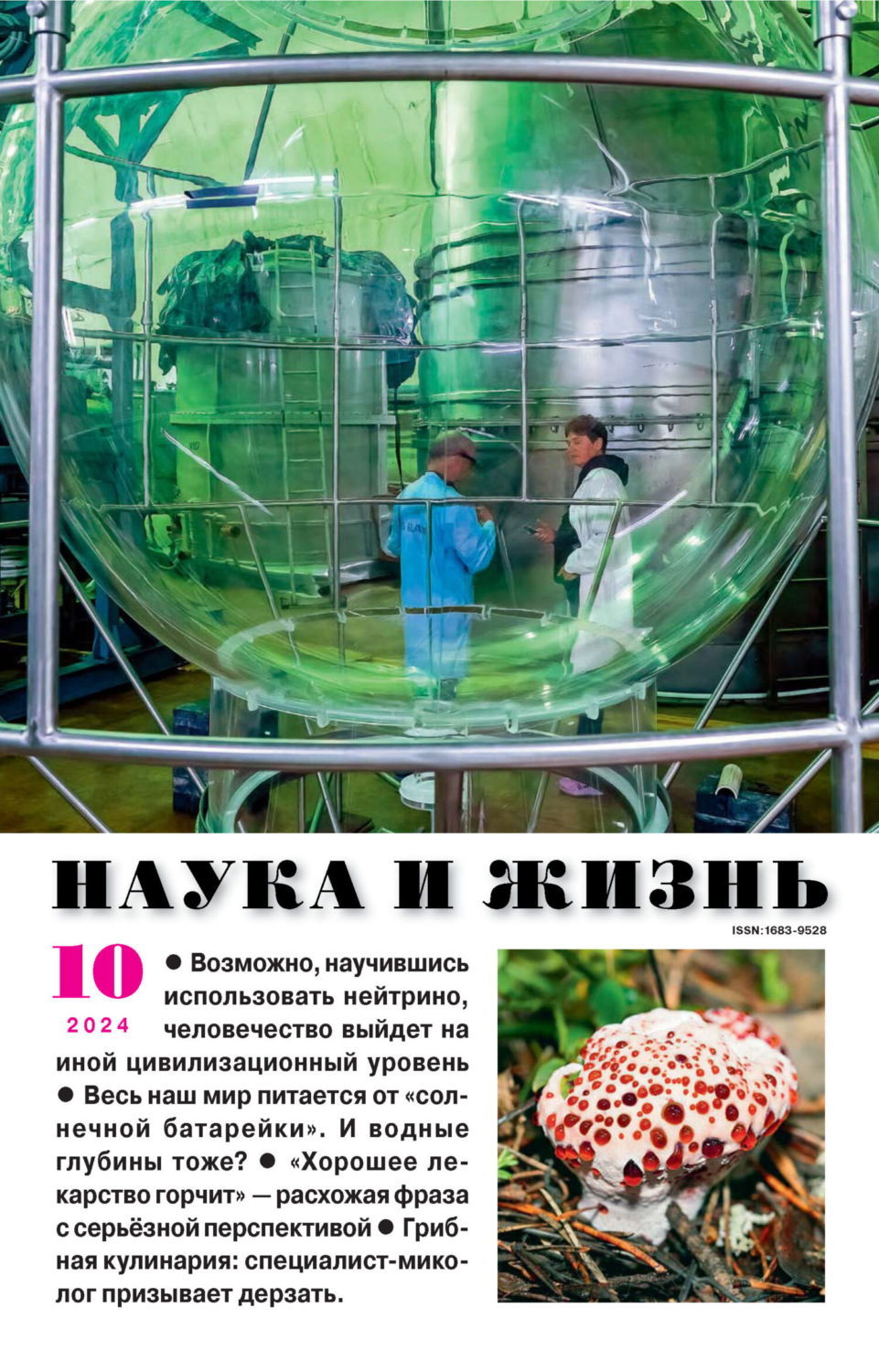 Обложка книги «Наука и жизнь №10/2024»