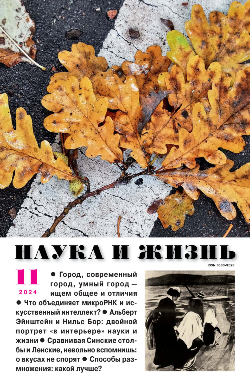 Обложка книги «Наука и жизнь №11/2024»