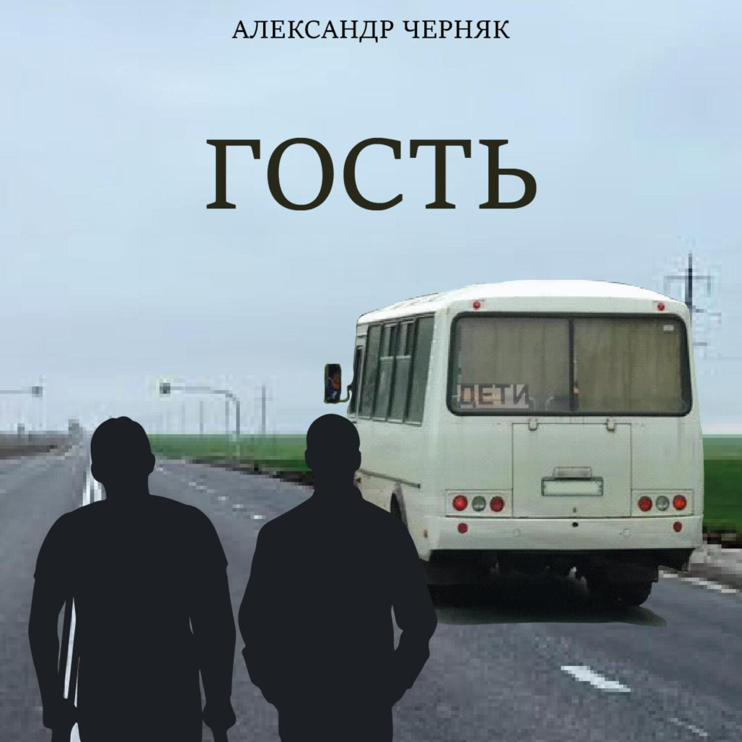 Обложка книги «Гость»