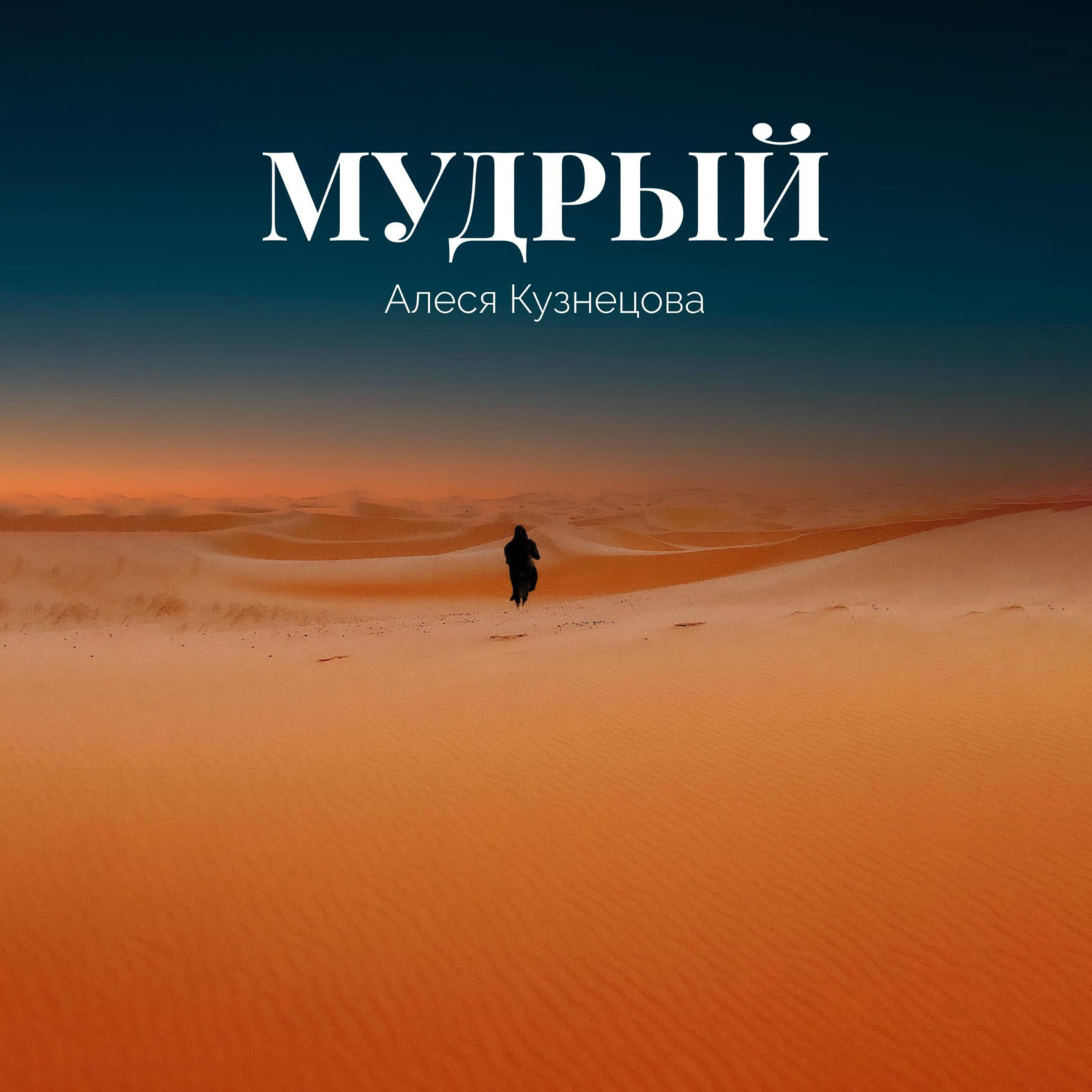 Обложка книги «Мудрый»