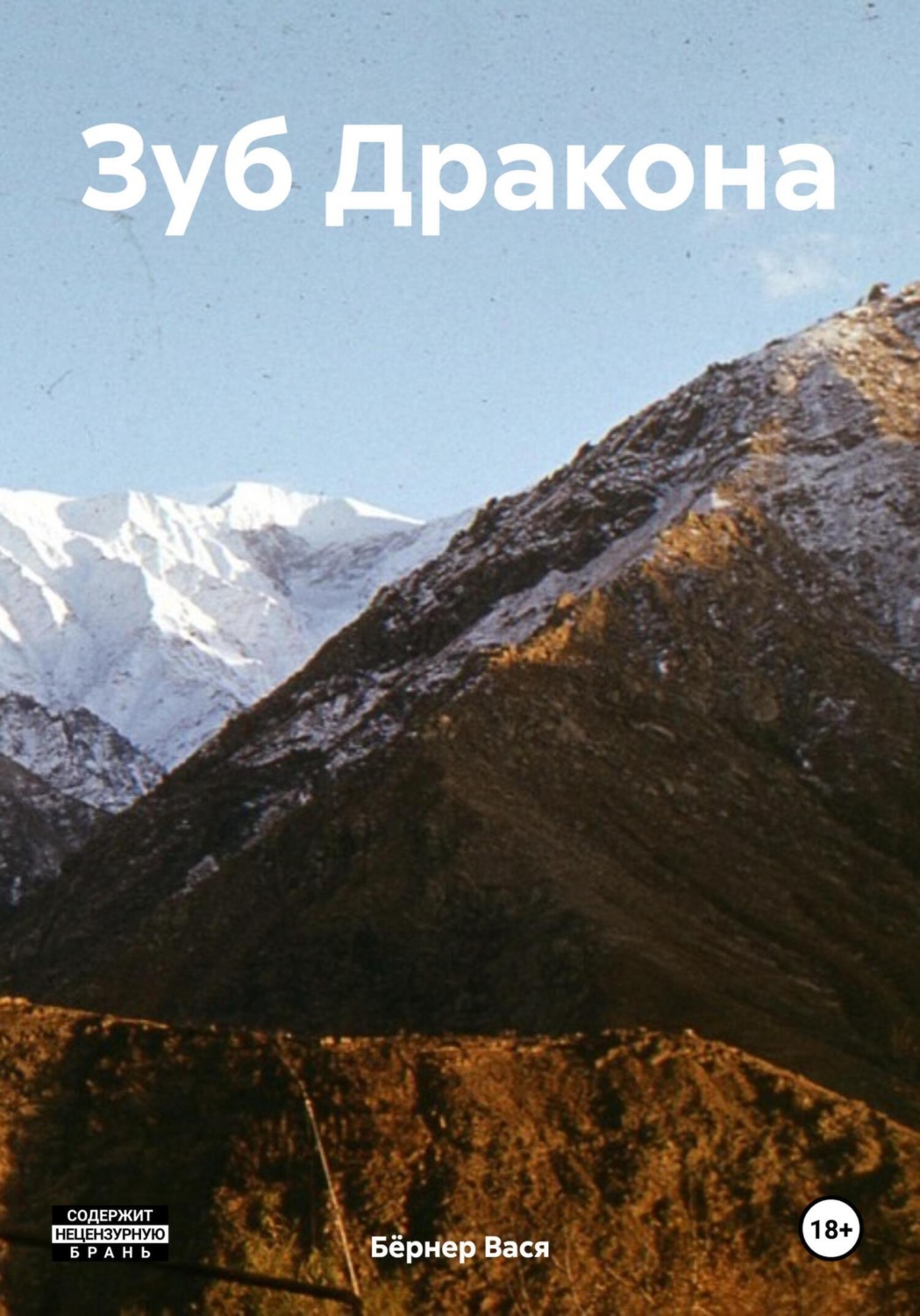 Обложка книги «Зуб Дракона»
