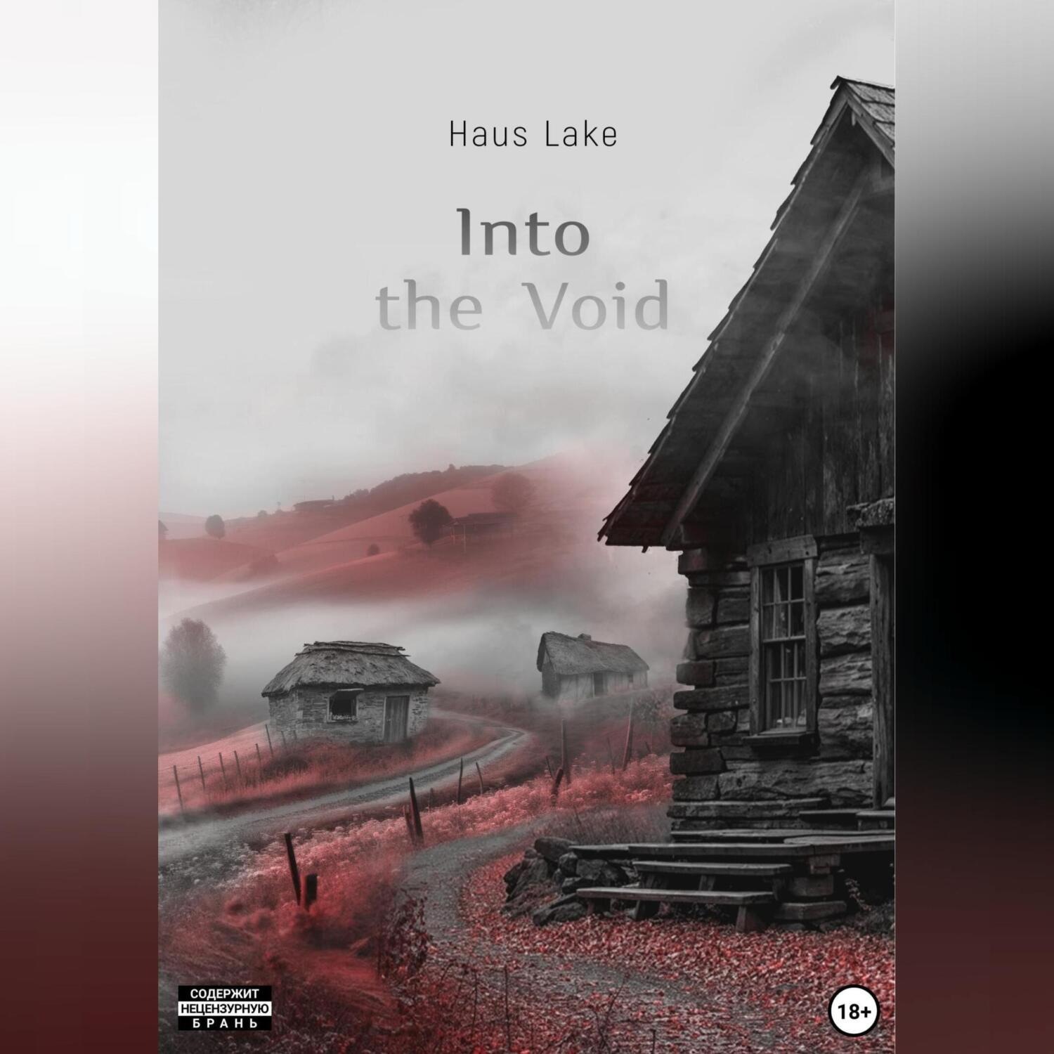 Обложка книги «Into the Void – В пустоту: Детективное фэнтези»