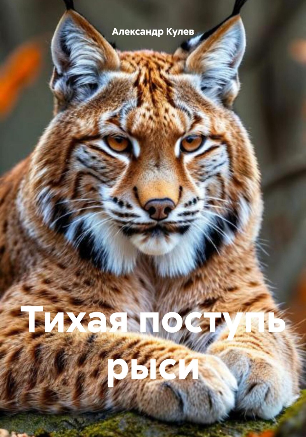 Обложка книги «Тихая поступь рыси»