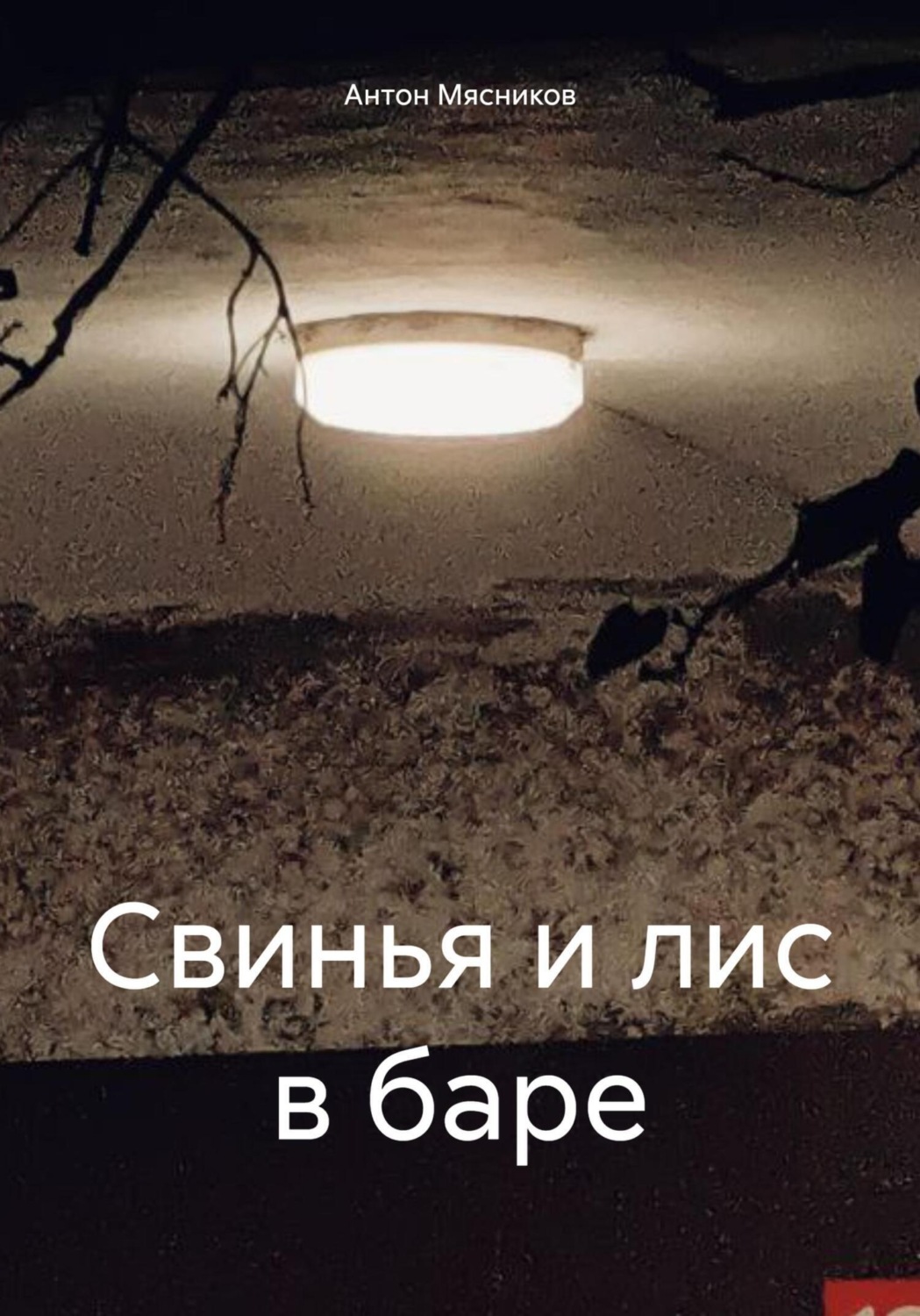 Обложка книги «Свинья и лис в баре»