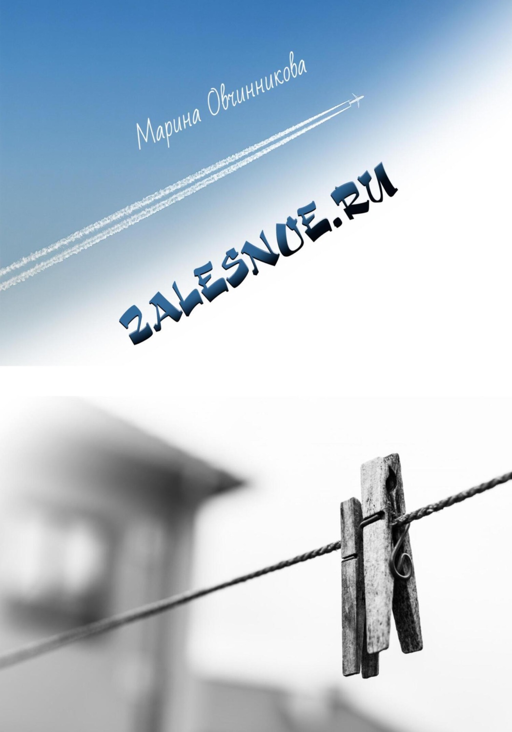 Обложка книги «Zalesnoe.RU»