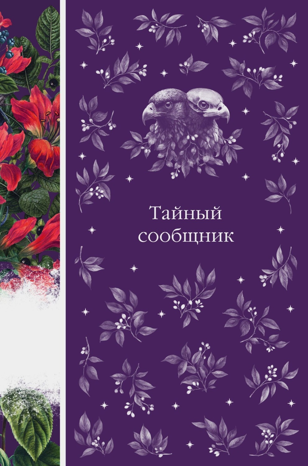 Обложка книги «Тайный сообщник»