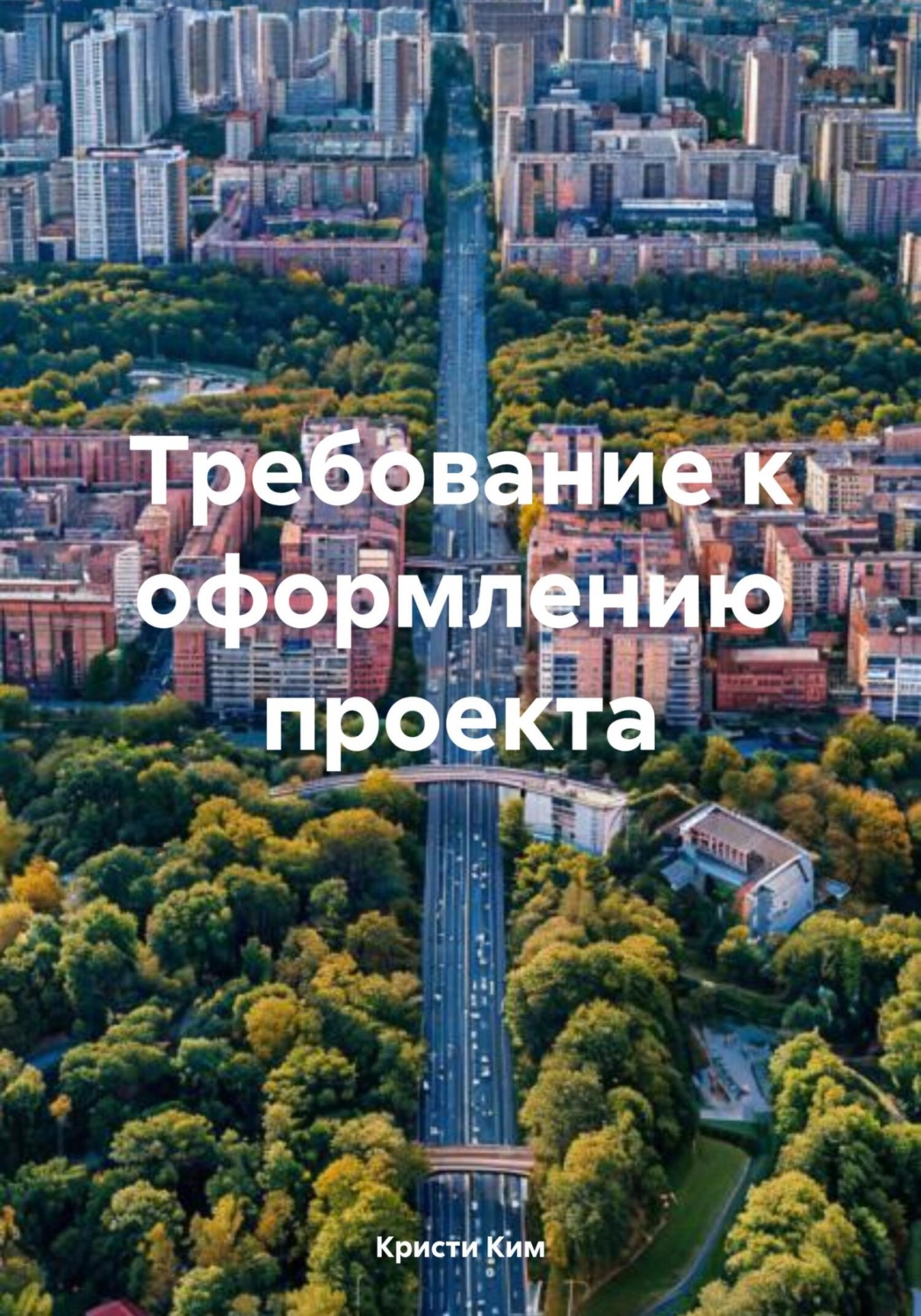 Обложка книги «Требование к оформлению проекта»