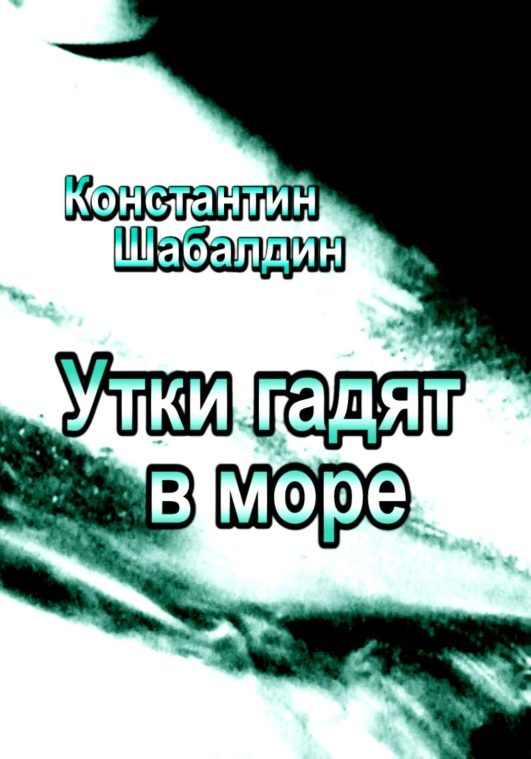 Обложка книги «Утки гадят в море»