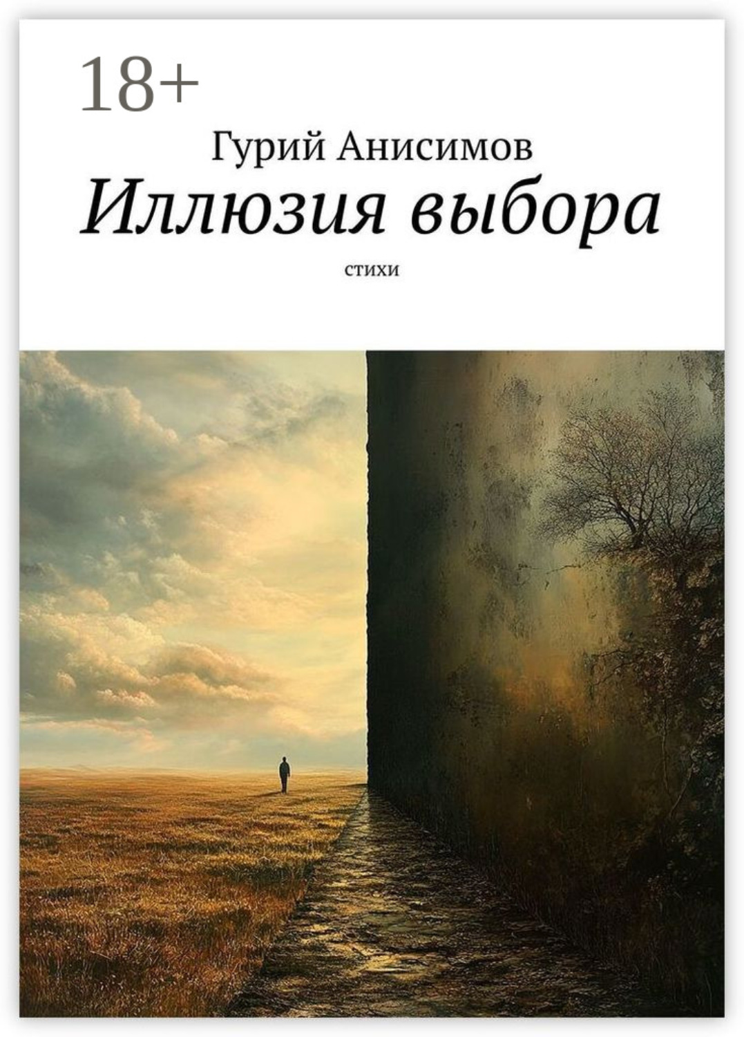 Обложка книги «Иллюзия выбора»