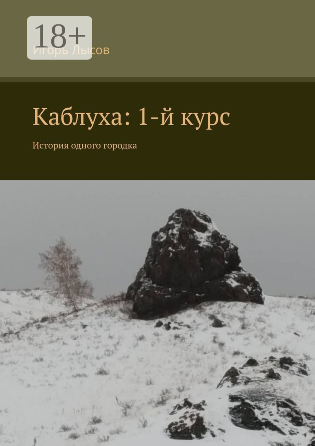 Обложка книги «Каблуха: 1-й курс. История одного городка»