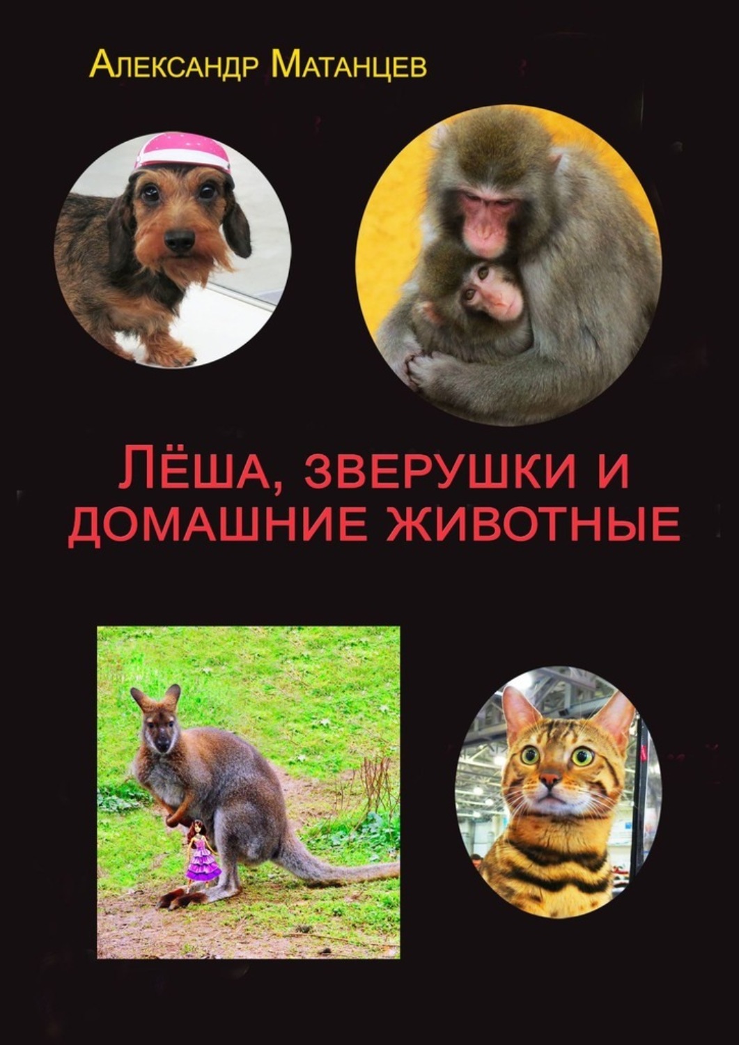 Обложка книги «Лёша, зверушки и домашние животные»