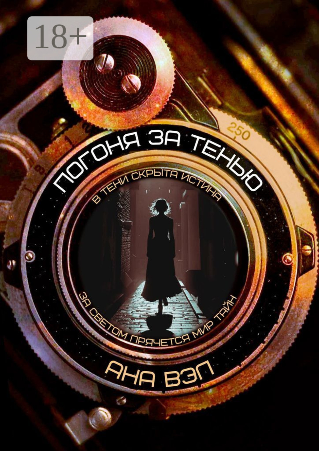 Обложка книги «Погоня за тенью»