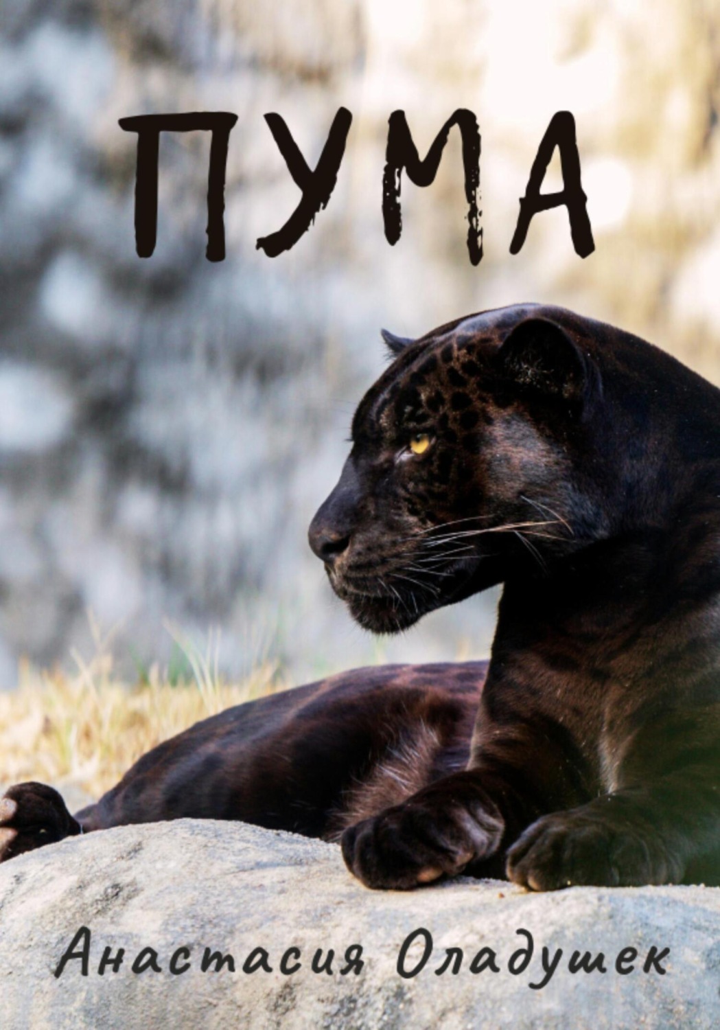 Обложка книги «Пума»