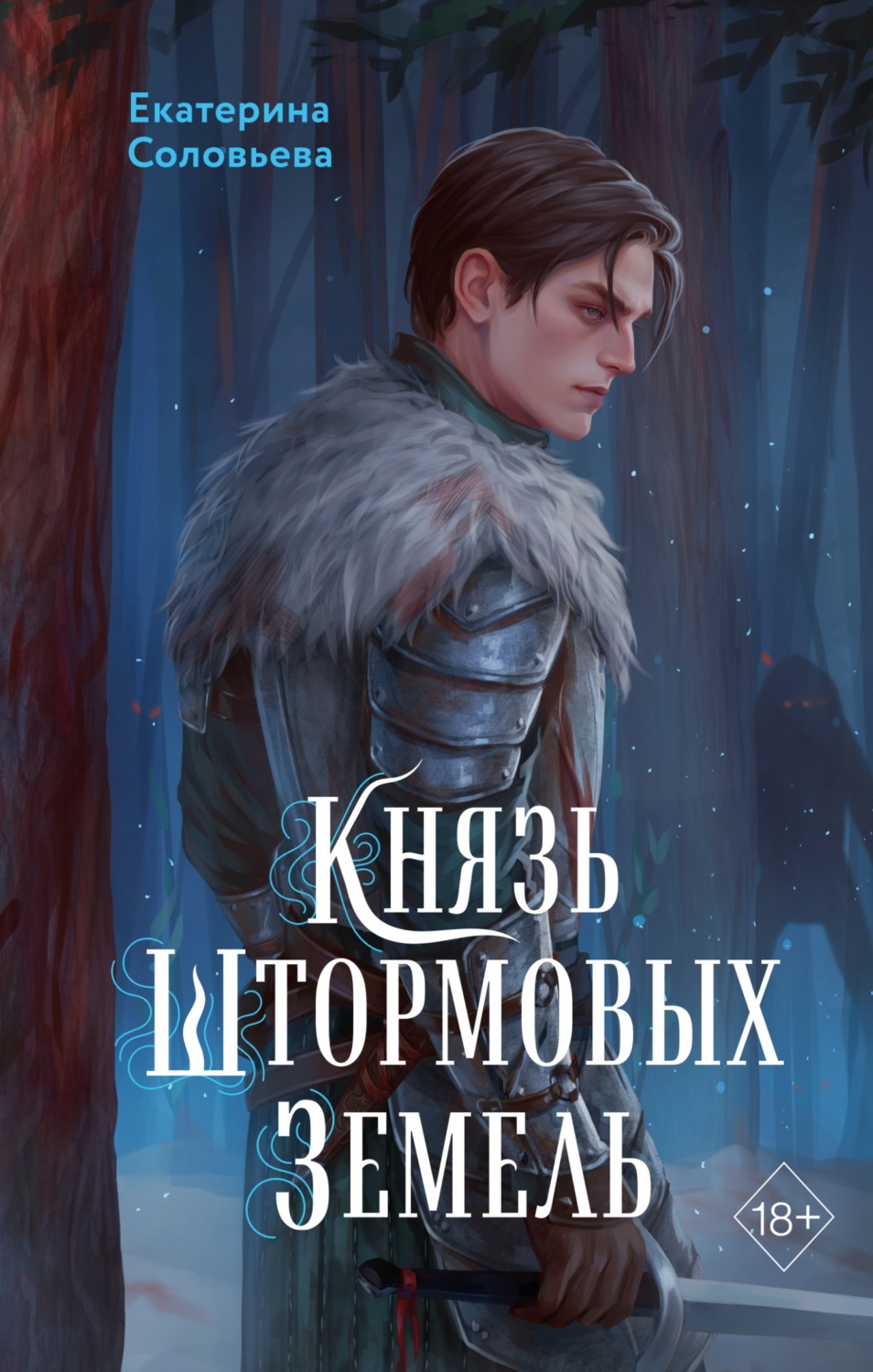 Обложка книги «Князь Штормовых Земель»