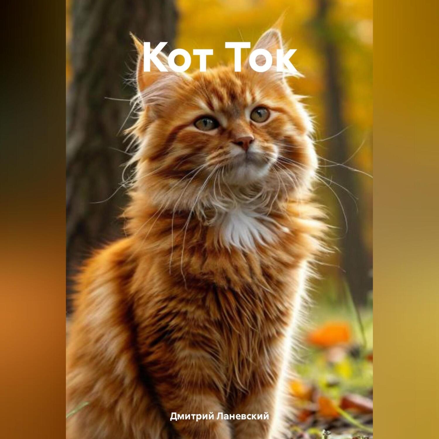Обложка книги «КОТ ТОК»