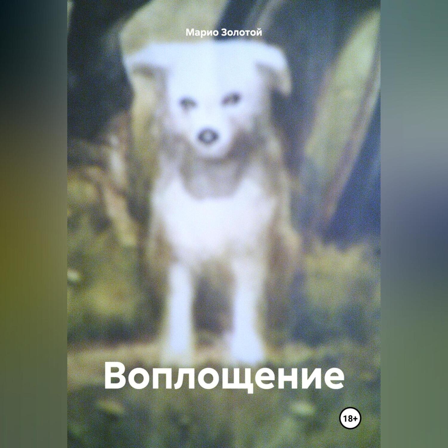 Обложка книги «Воплощение»