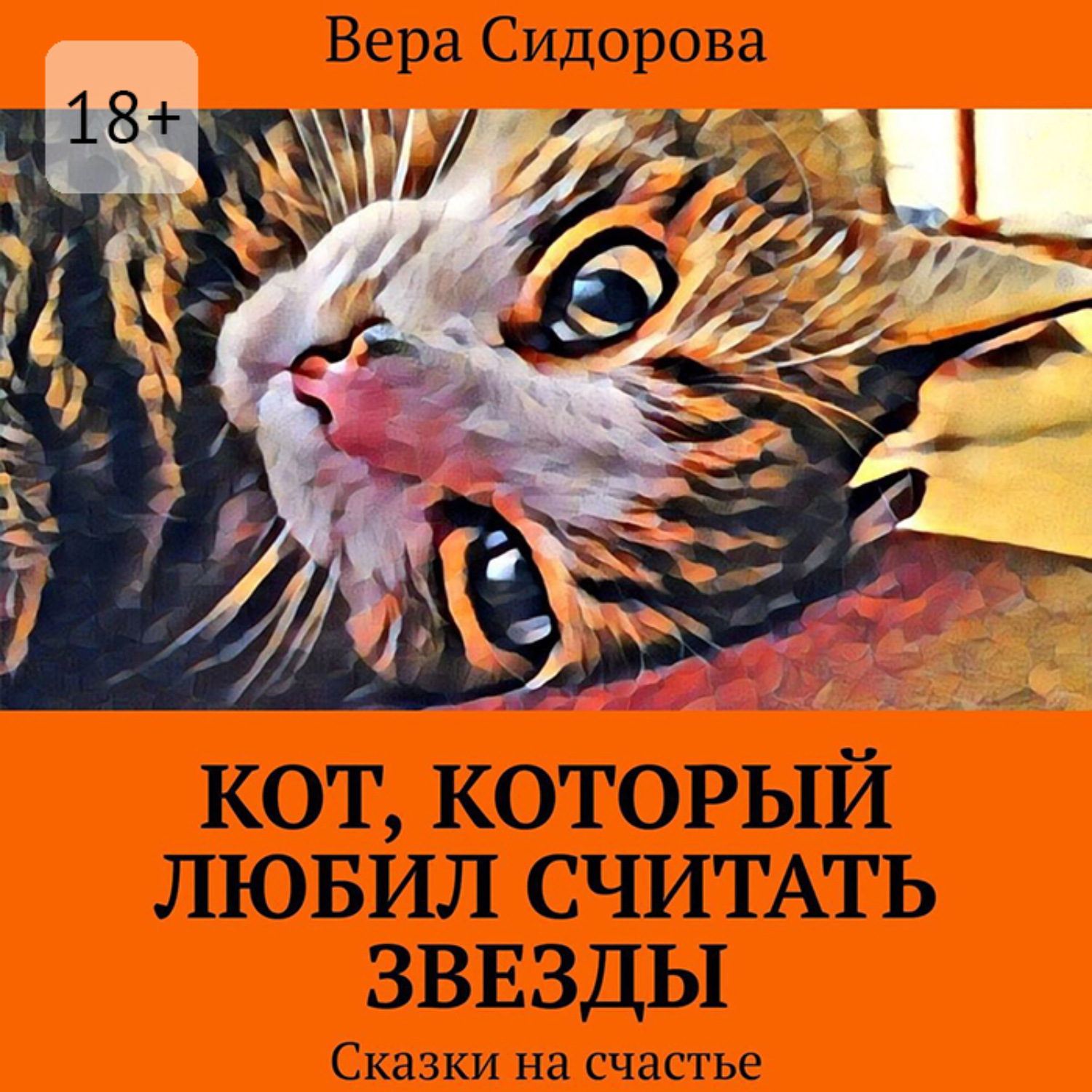 Обложка книги «Кот, который любил считать звезды. Сказки на счастье»
