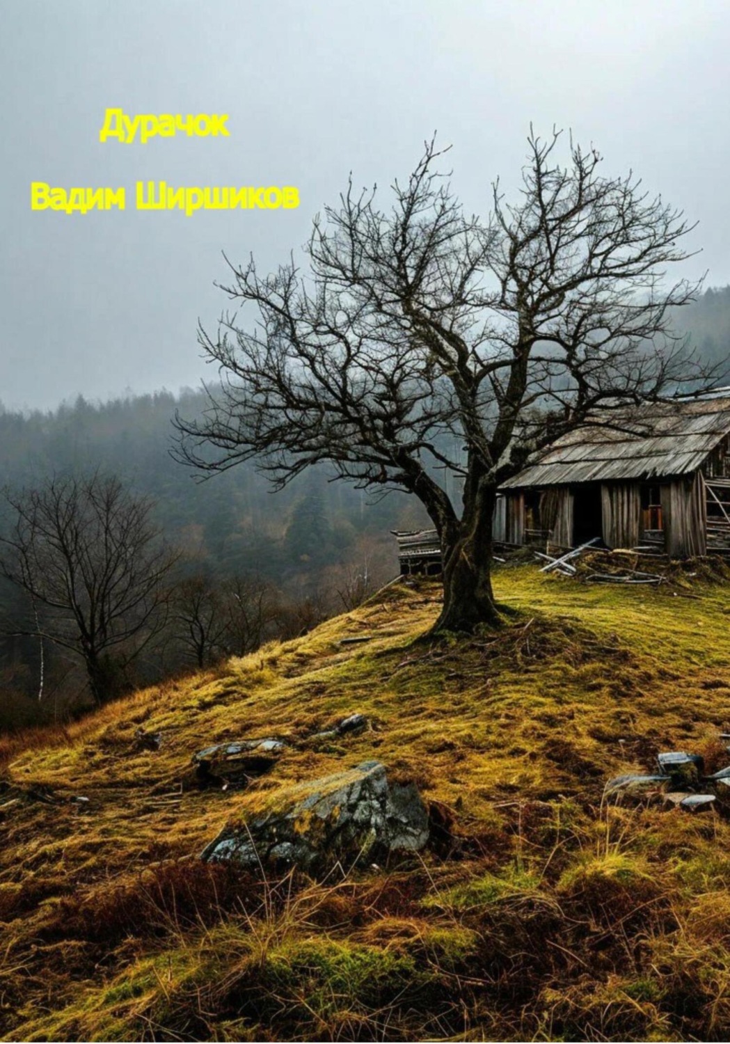 Обложка книги «Дурачок»