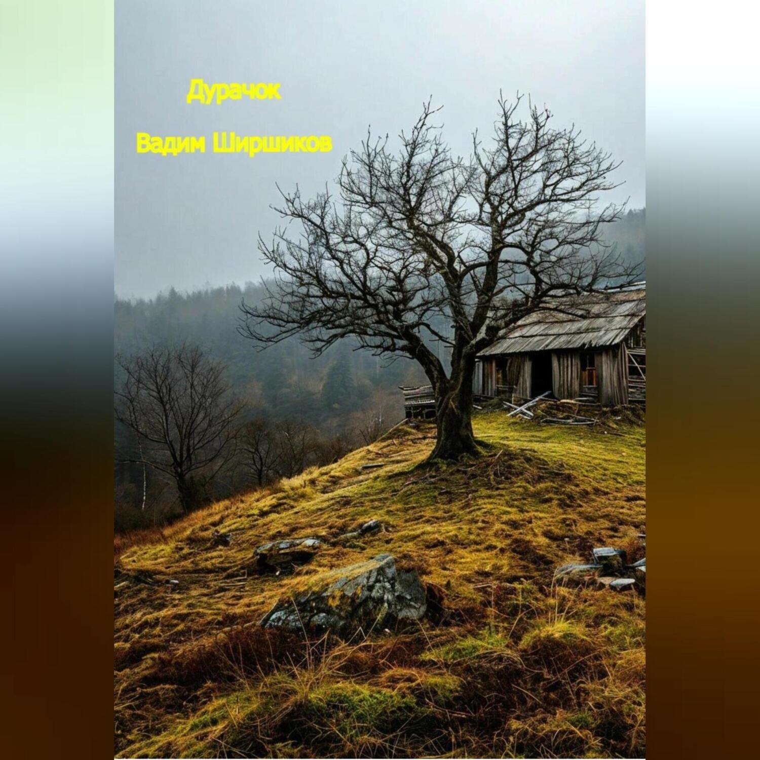 Обложка книги «дурачок»