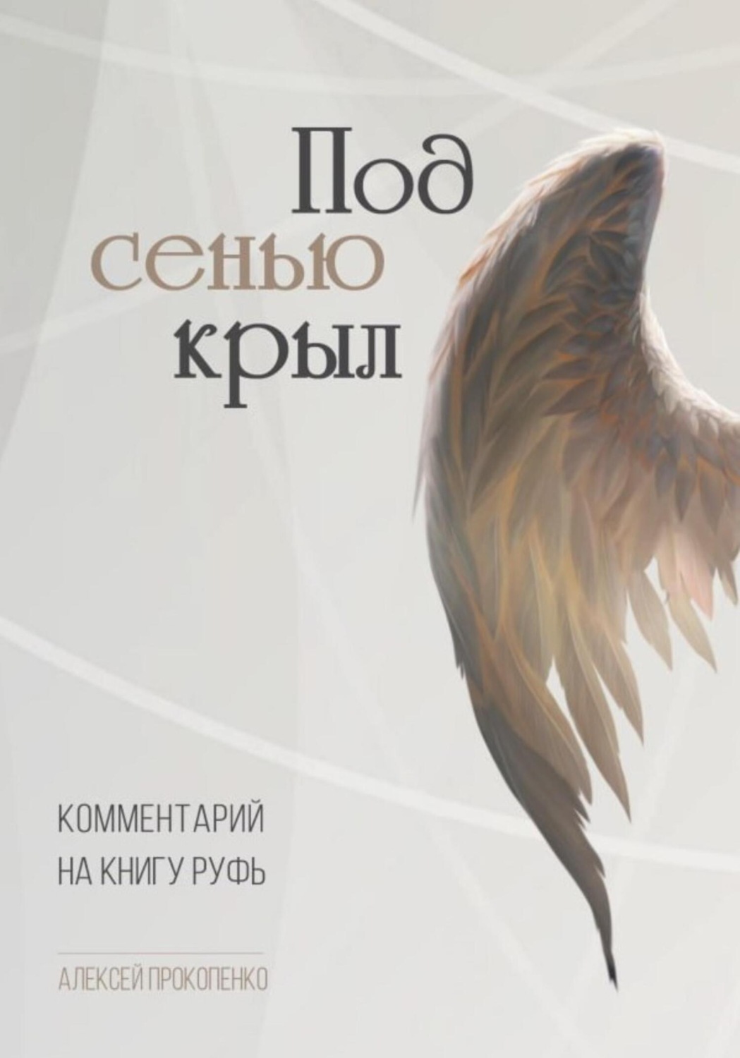 Обложка книги «Под сенью крыл. Комментарий на книгу Руфь»