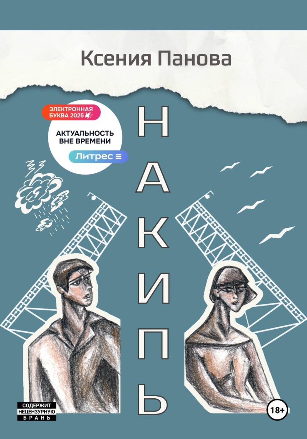 Обложка книги «Накипь»