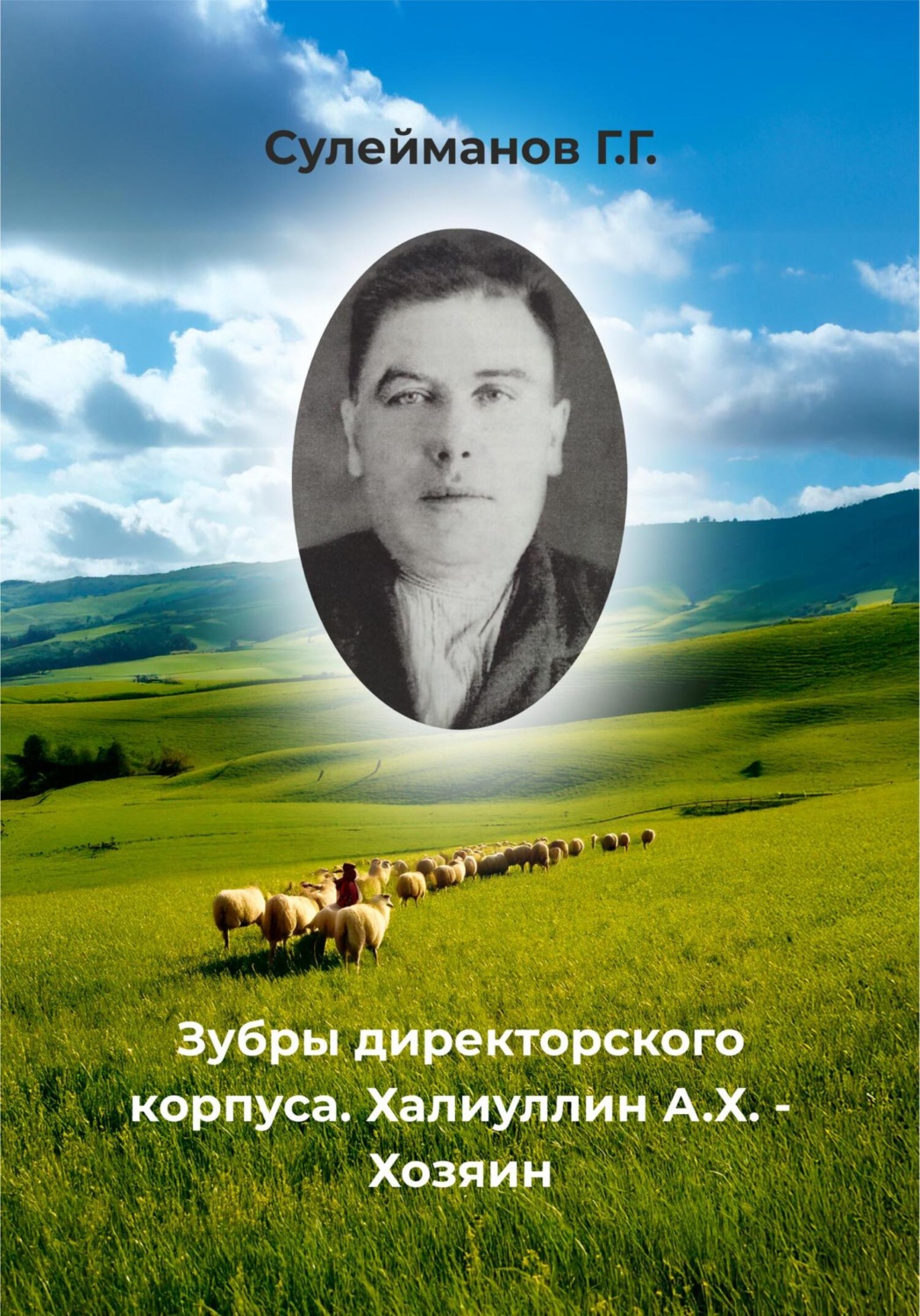 Обложка книги «Зубры директорского корпуса. Халиуллин А.Х. – Хозяин»