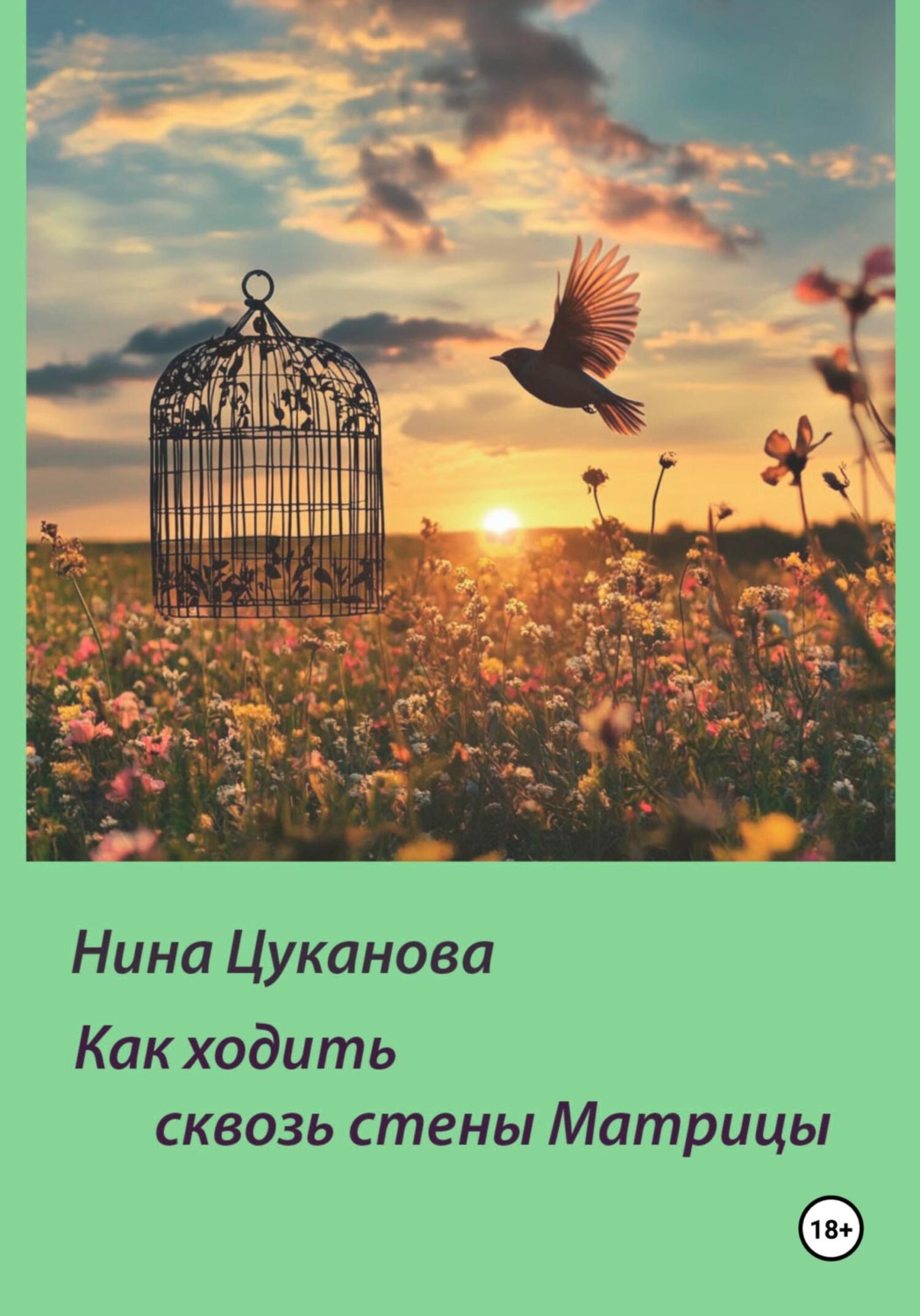 Обложка книги «Как ходить сквозь стены Матрицы»