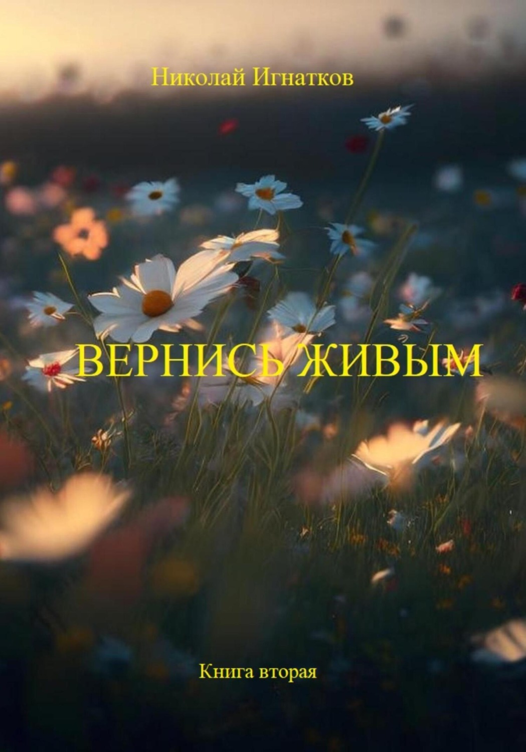 Обложка книги «Вернись живым. Книга вторая»
