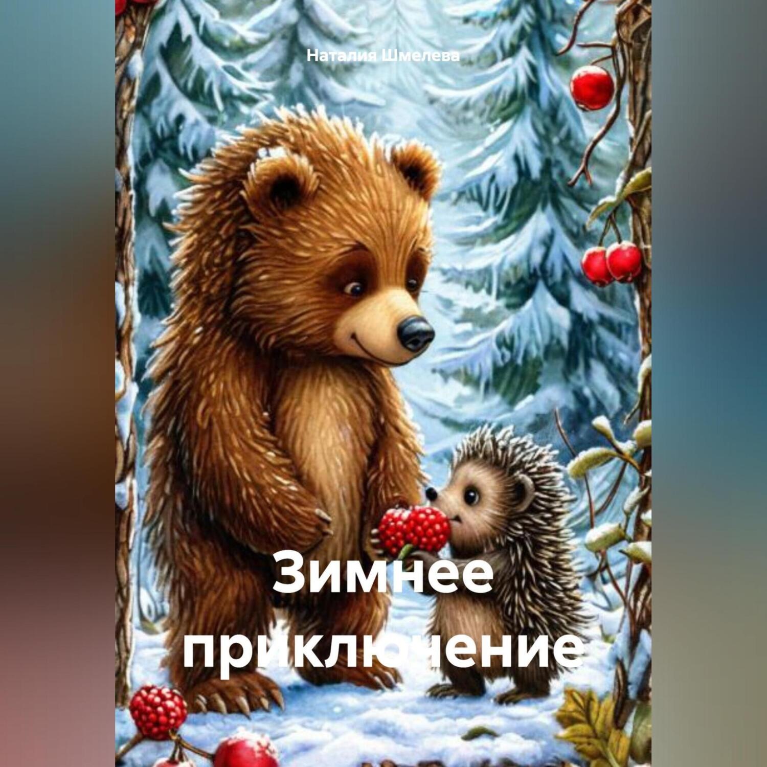 Обложка книги «Зимнее приключение»