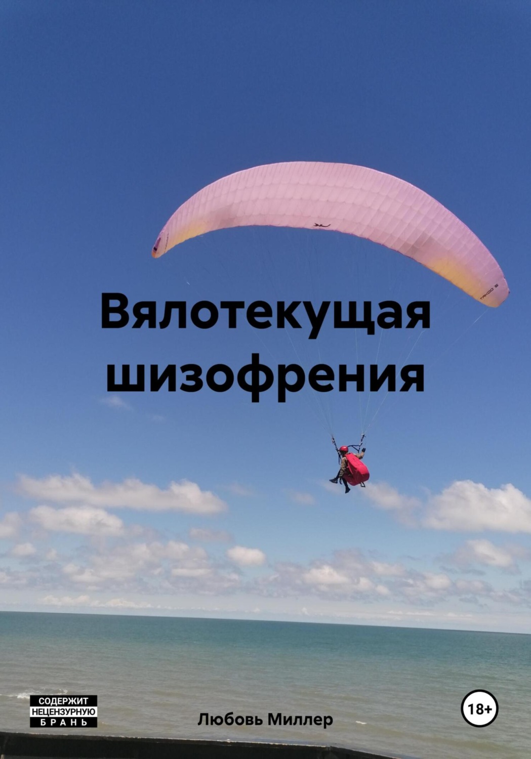 Обложка книги «Вялотекущая шизофрения»