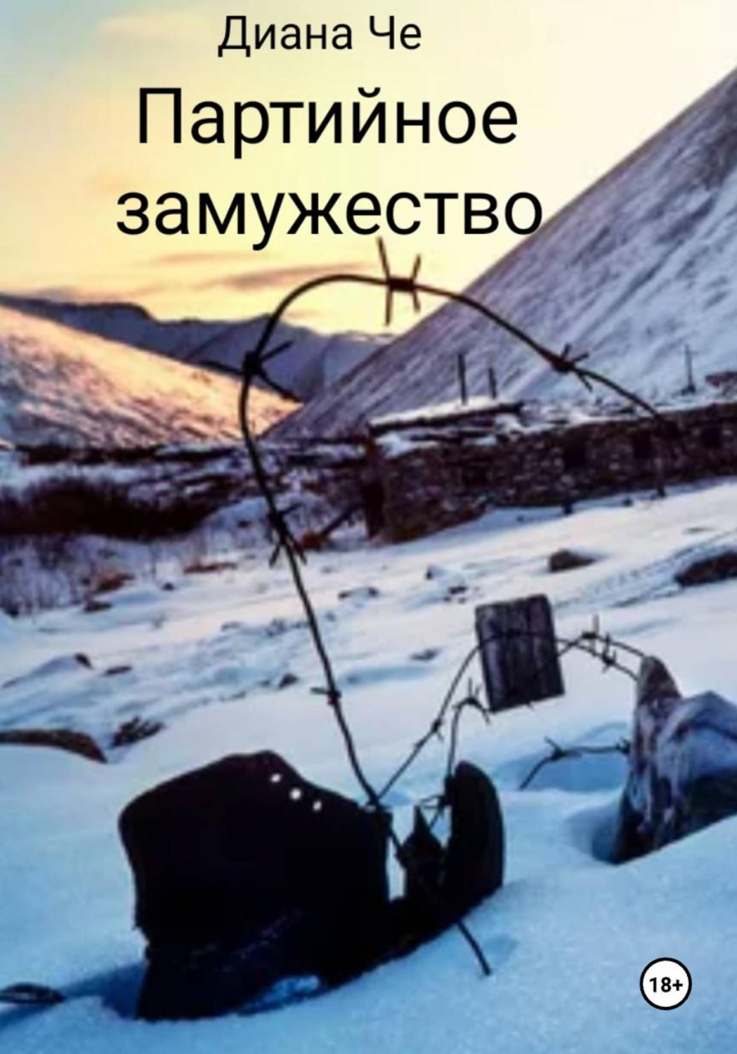 Обложка книги «Партийное замужество»