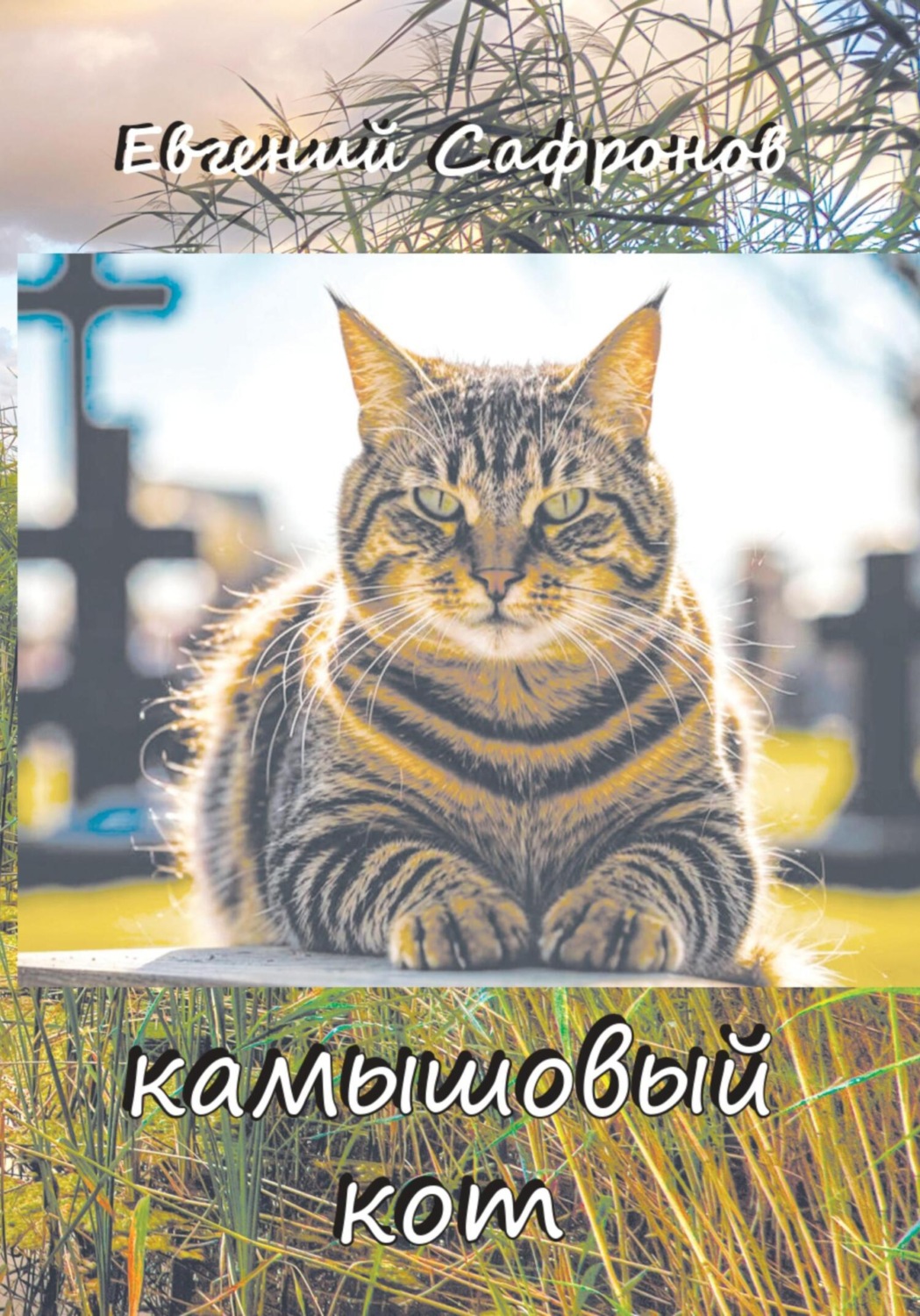 Обложка книги «Камышовый кот»
