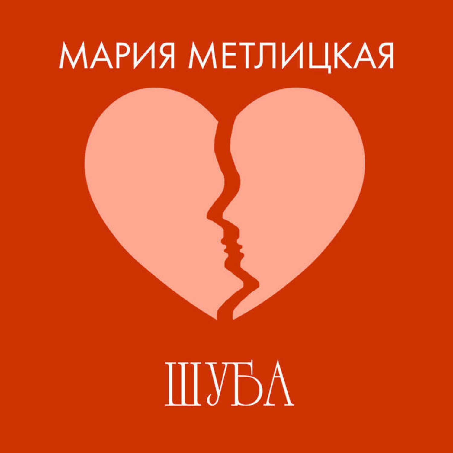 Обложка книги «Шуба»