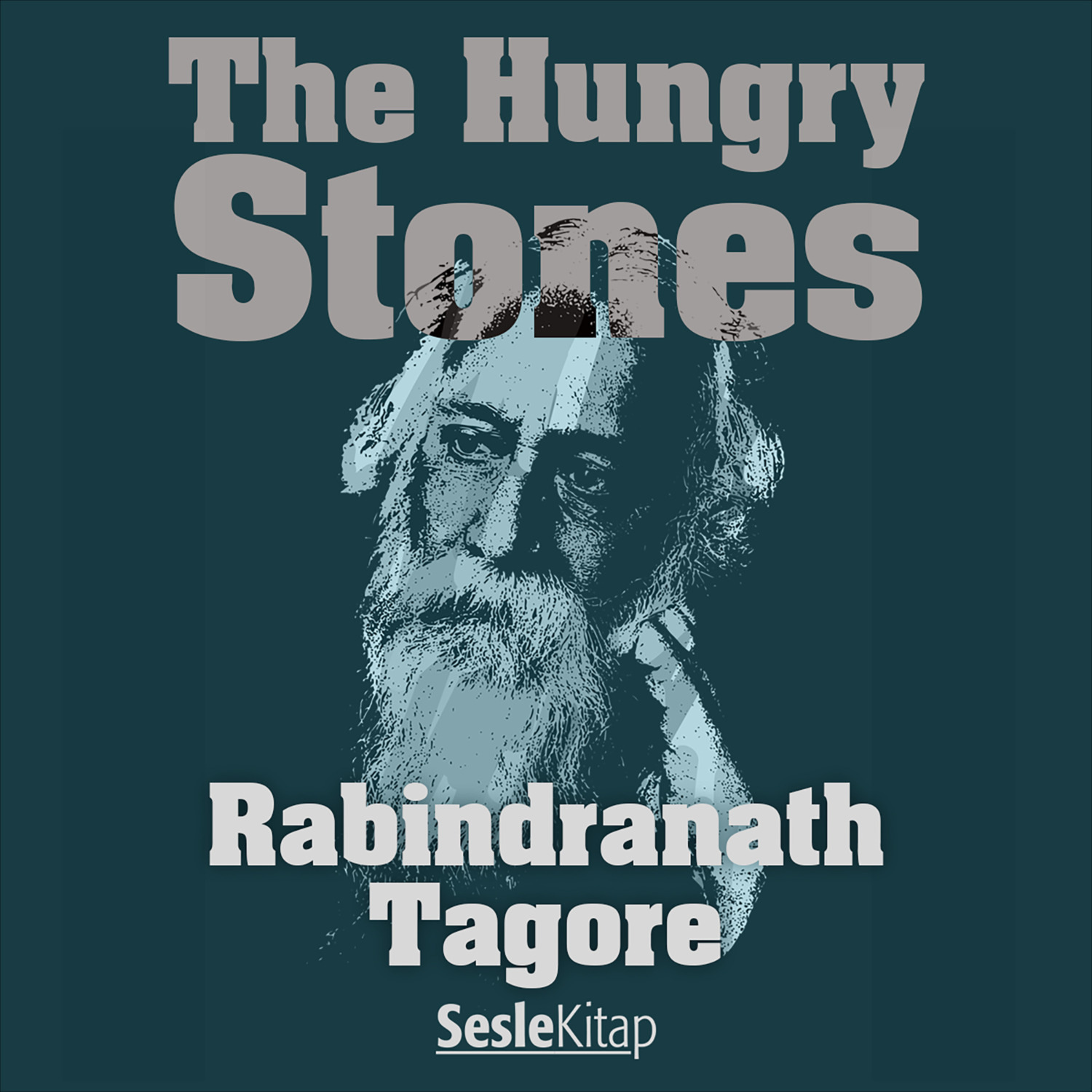 Обложка книги «The Hungry Stones»