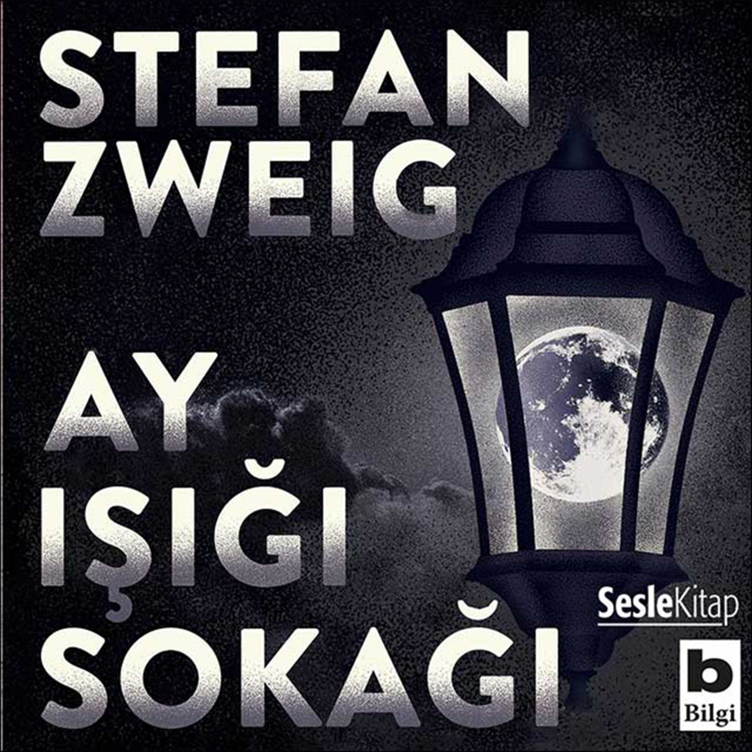Обложка книги «Ay Işığı Sokağı»