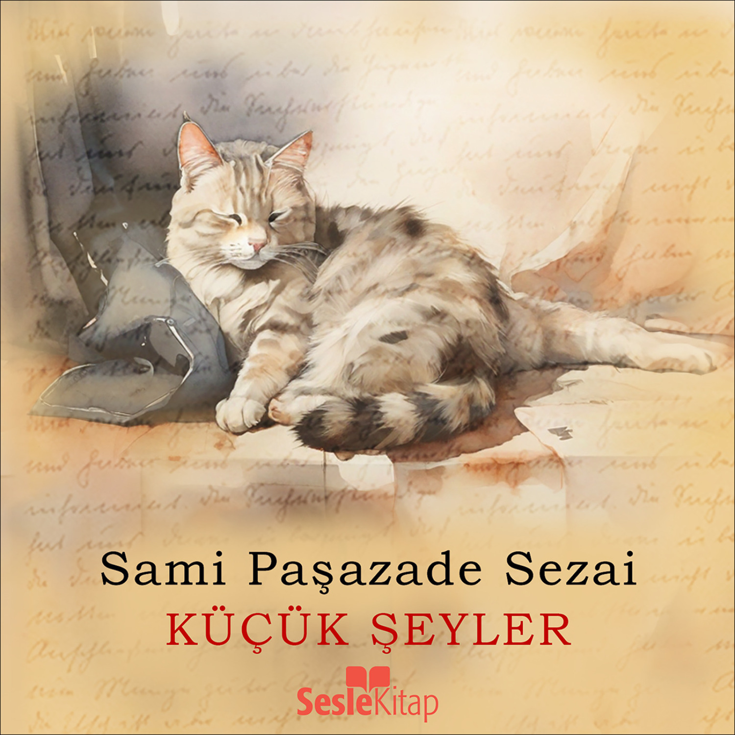 Обложка книги «Küçük Şeyler»