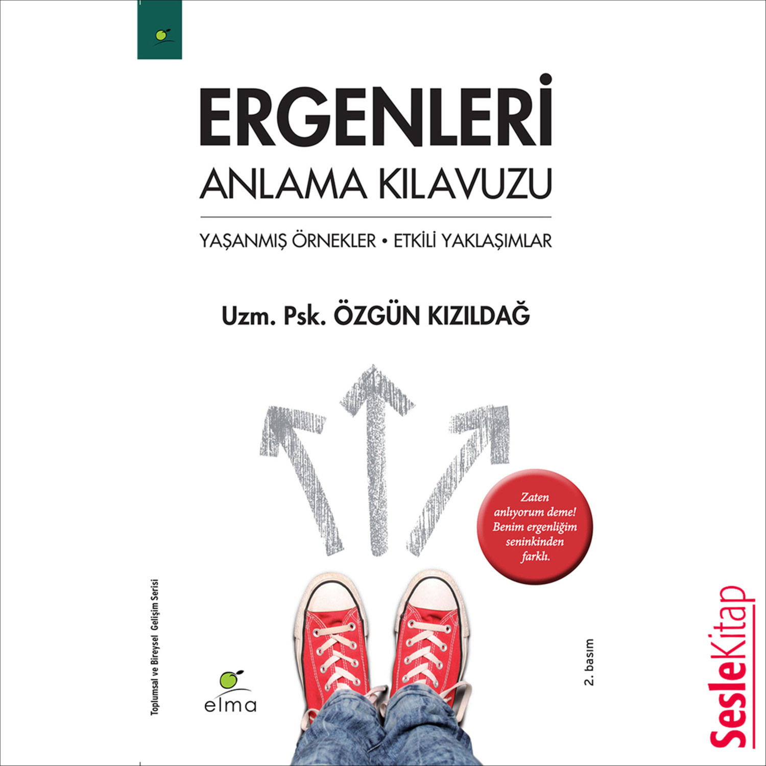 Обложка книги «Ergenleri Anlama Kılavuzu»