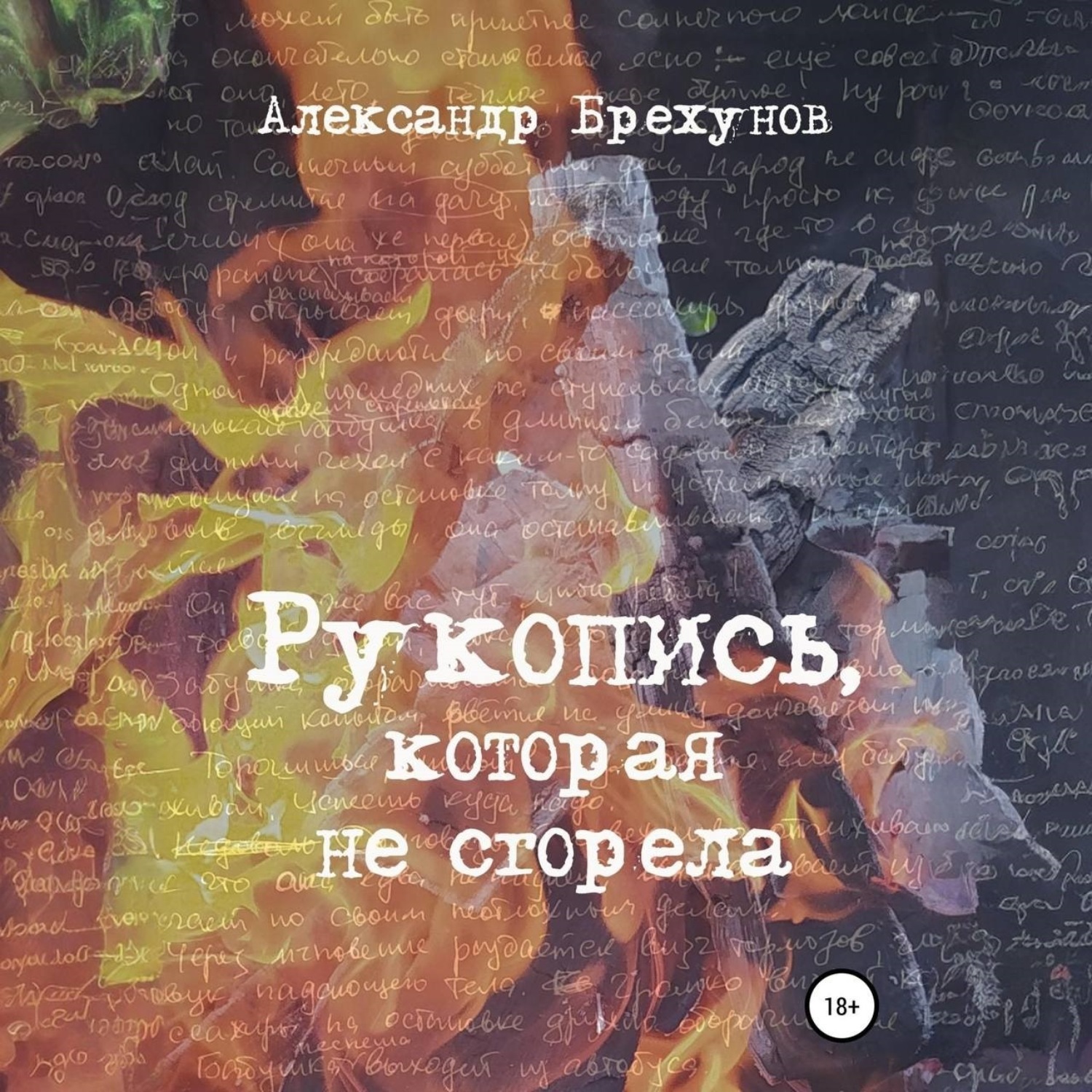Обложка книги «Рукопись, которая не сгорела»