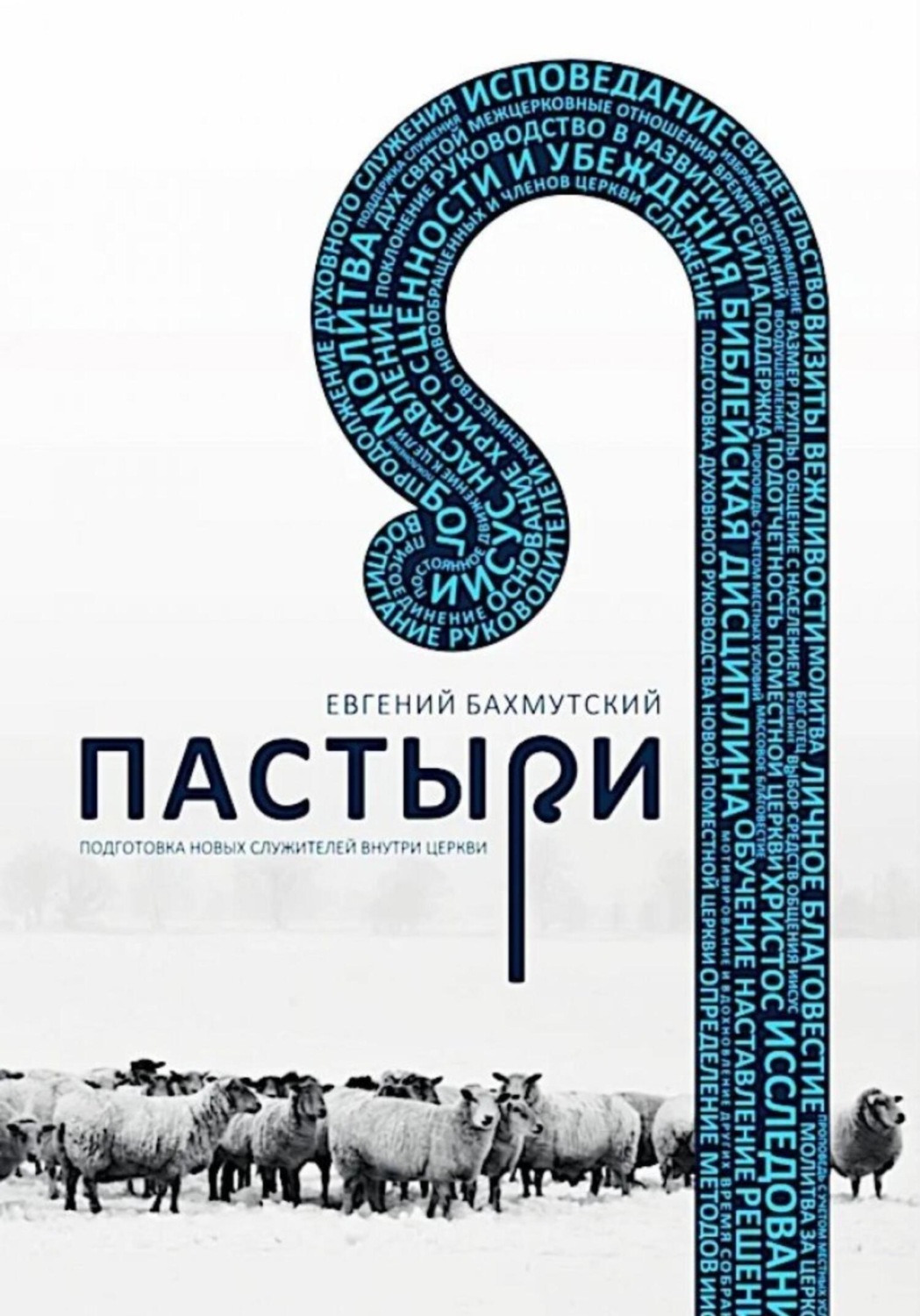 Обложка книги «Пастыри. Подготовка новых служителей внутри церкви»