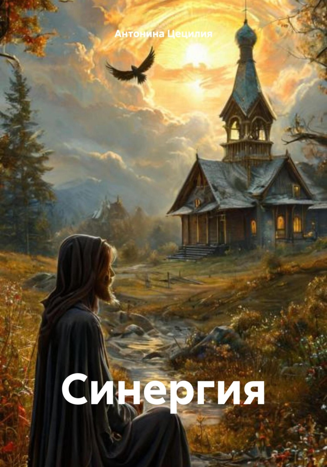 Обложка книги «Синергия»