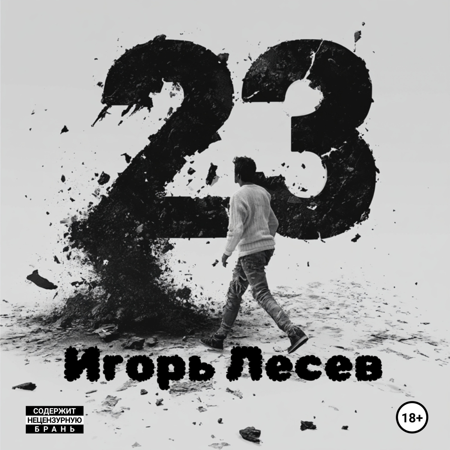 Обложка книги «23»