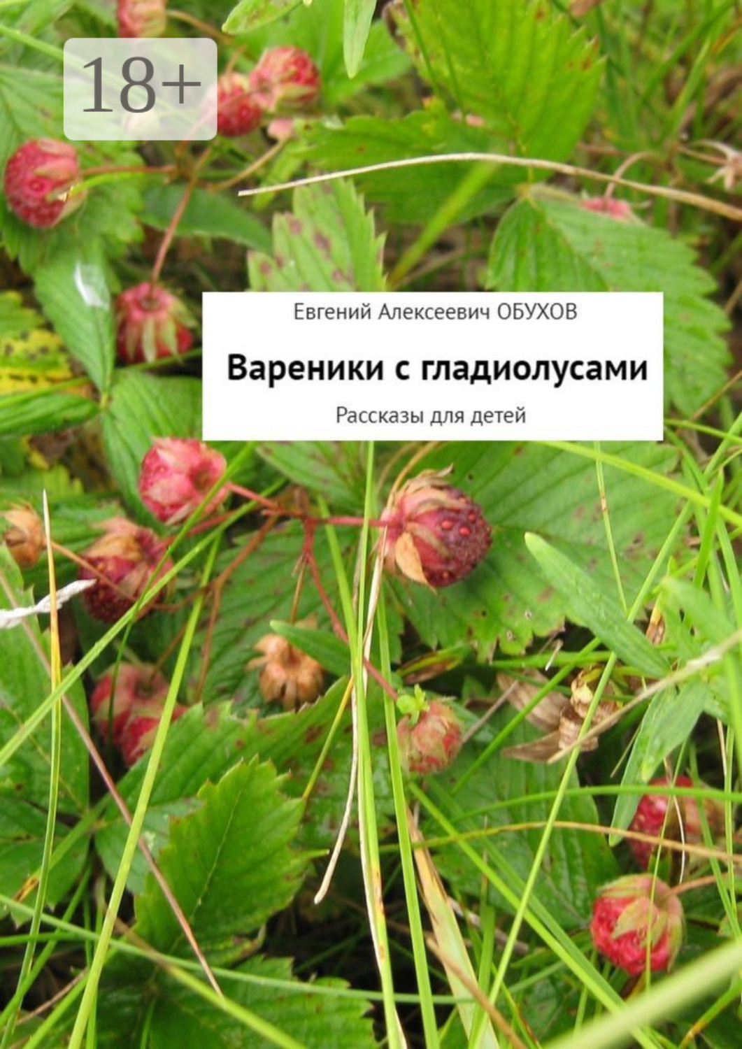 Обложка книги «Вареники с гладиолусами. Рассказы для детей»