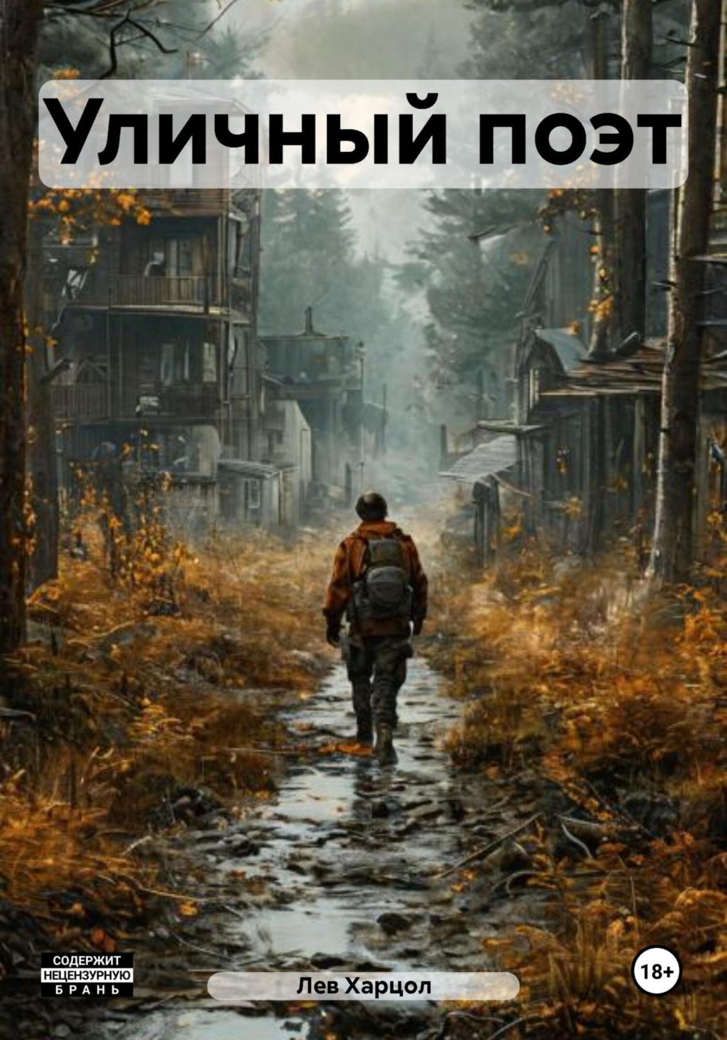 Обложка книги «Уличный поэт»