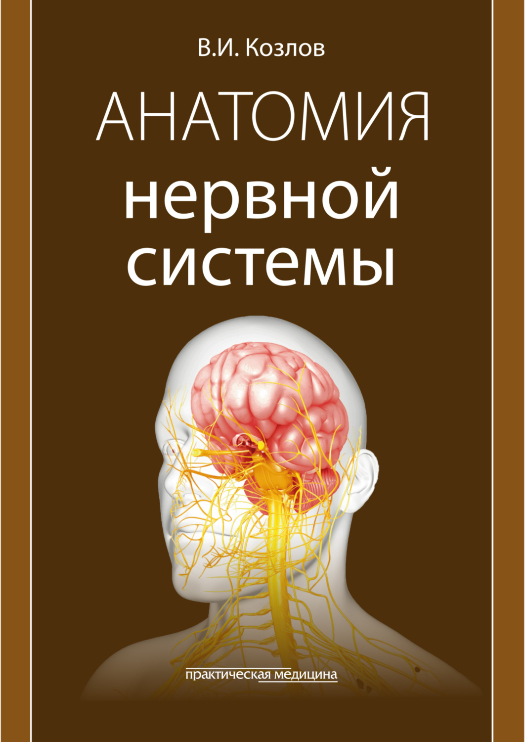 Обложка книги «Анатомия нервной системы. Учебное пособие»