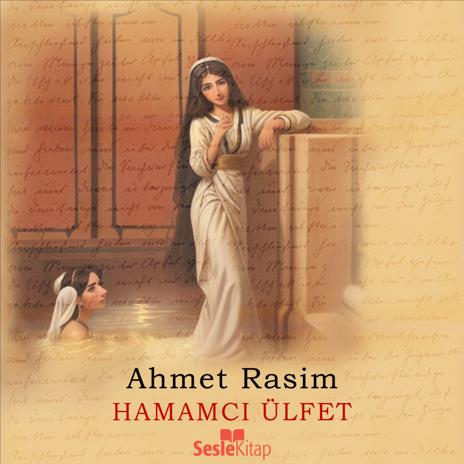 Обложка книги «Hamamcı Ülfet»