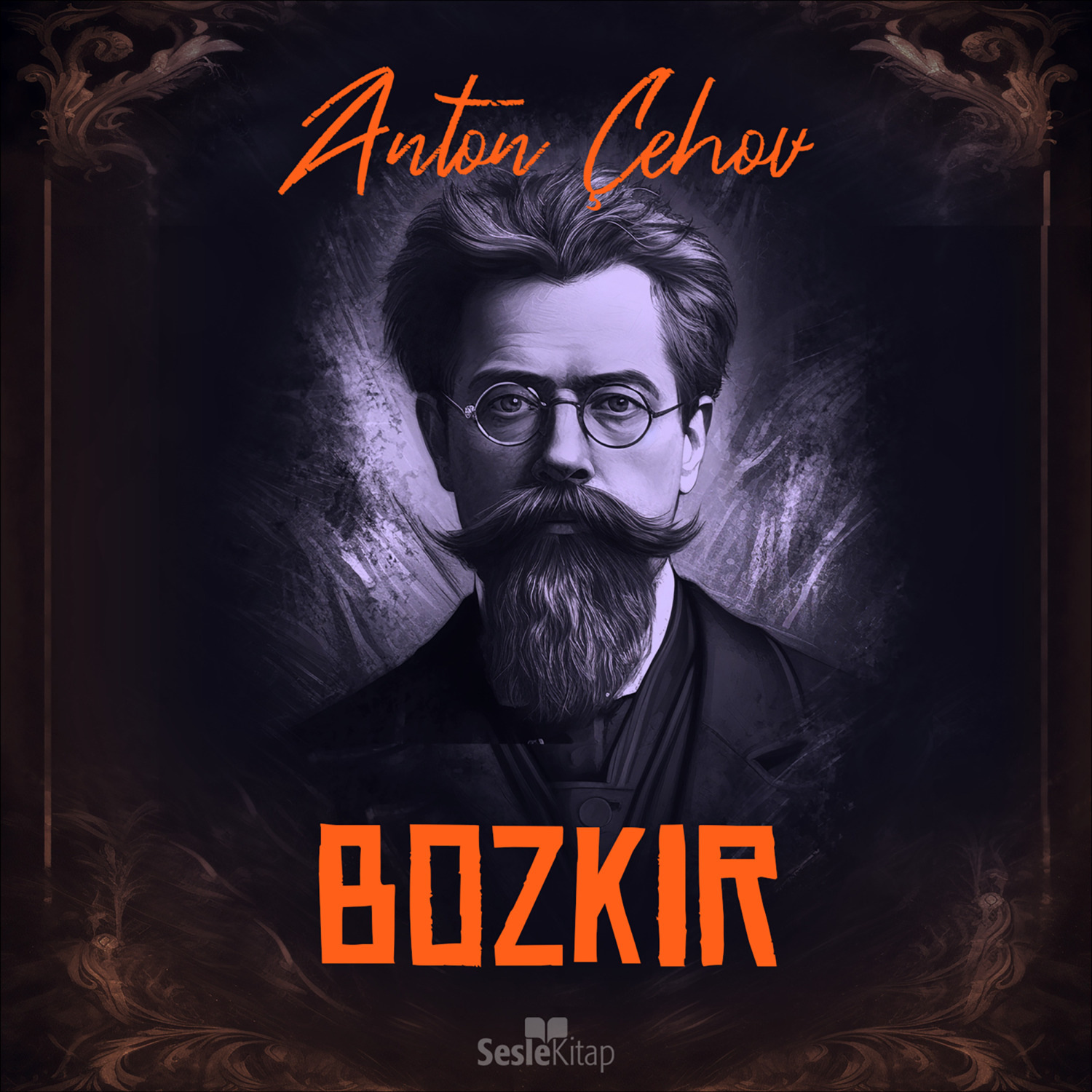 Обложка книги «Bozkır»