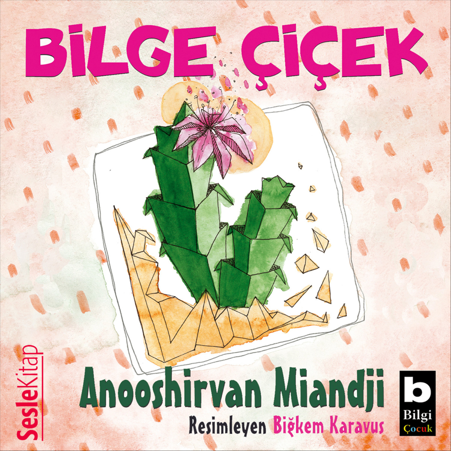 Обложка книги «Bilge Ciçek»